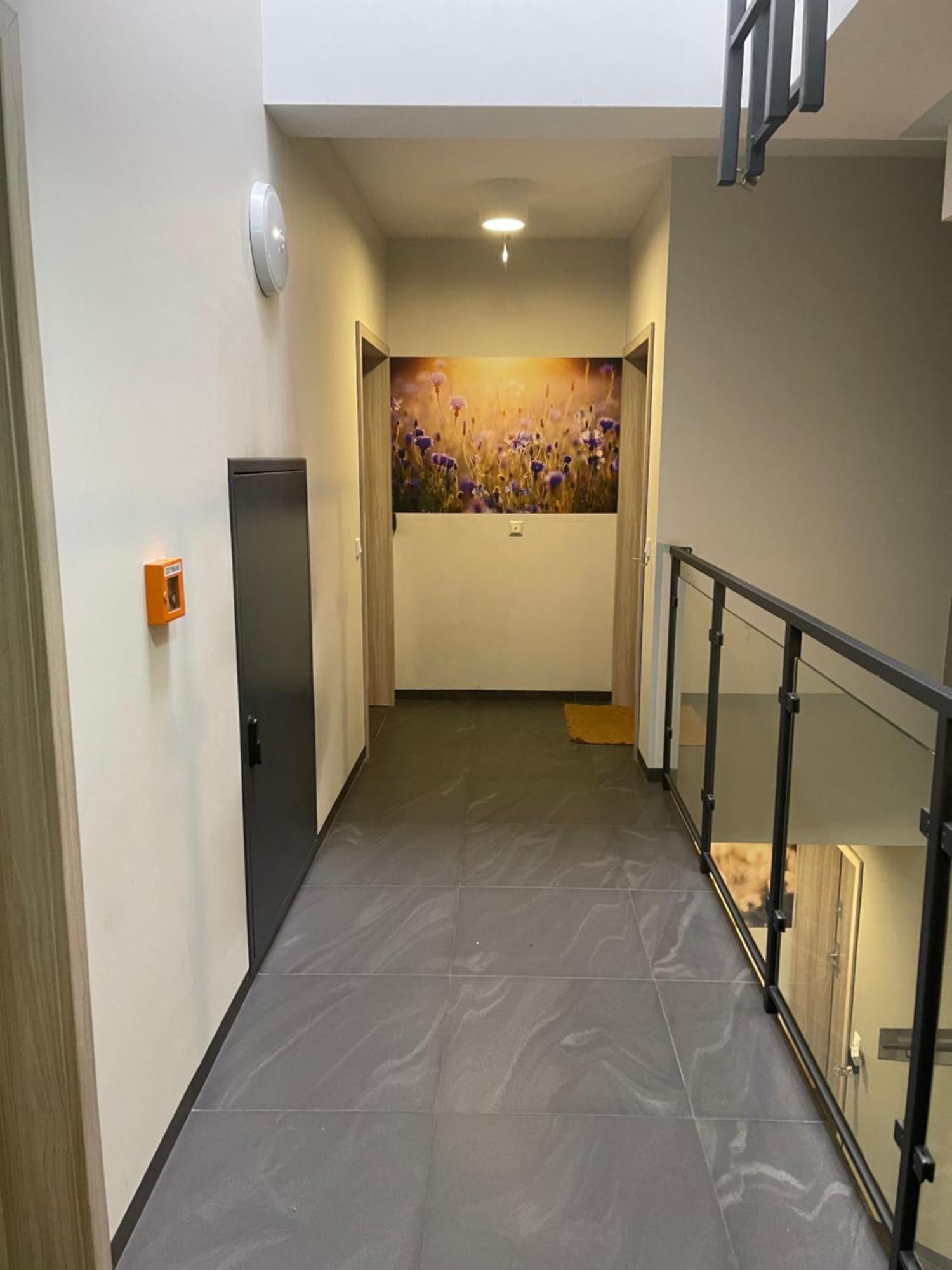 Sunflower Apartment Old Town Krasków Εξωτερικό φωτογραφία